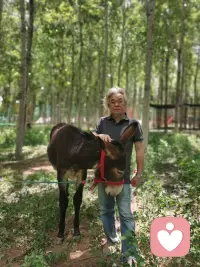 罗Sir，老罗，罗佑嘉：

你卸下舞美行囊，人生剧目就此收官退场。
能认识你，是我此生幸事之一。
你食言了，你答应我活着回京的。你一定很痛吧？
我昨晚梦见你了，花白头发，呲牙咧嘴的笑。
若干年后，我们再见。
一路走好[合十][合十][合十]
