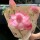 一钰