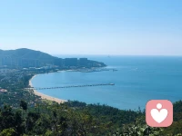 大海从不抱怨黑夜漫长，
因为它知道，黎明总会到来。
你所有的委屈、压力、迷茫，
都可以说给我听。
我秒回在线，耐心倾听，
像大海一样，接住你所有情绪，
陪你等属于你的那片朝阳。