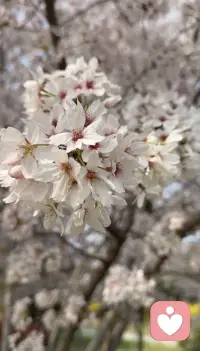 生活这趟车，有人给你糖，有人向你泼冷水，有人把你护身后，有人把你逼到疯，有人捧着真心对你好，也有人藏着算计对你笑，所以脱下鞋子走路，才知道地面的温度，摘下面具做人，才懂人间的冷暖自知。