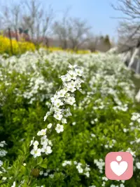 爱自己是好运的前提。
真正爱自己，对自己负责，你会优先照顾好自己的身体和情绪，会多做一些旺自己的事，能趋吉，自然好运会来到。配图