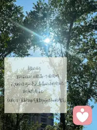 愿我们一直都有重新晒太阳的勇气🔅配图