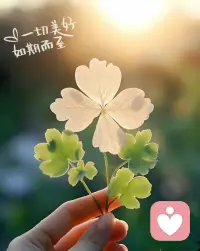 ✨ GooD Luck 🍀+100
“真诚和善意 可以让很多关系 变得长久”配图