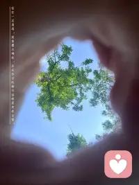 早吖！小伙伴们☀️
累了就停下来歇一歇
你不用一直那么坚强