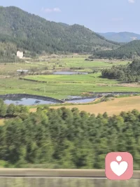 你还好吗？配图