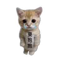 挨骂师：专业受气包，你的怒火我承包。

倾听师：你的故事我收藏，你的情绪我安放！

秒回师：消息秒回不拖延，你的需求我优先

用我的委屈，换你的舒心。用我的耳朵，暖你的心房。用我的速度

解你的焦虑。承接怒火，专业挨骂。树洞在此，欢迎倾诉！

消息秒回，服务到位！配图