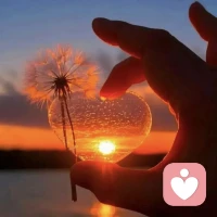 我们终其一生，
都在寻找一个能说话的人，
能听你说话，
能听懂你说话，
能听你说废话的人，
这看似简单的想法，
实则需要多幸运，
才能遇到