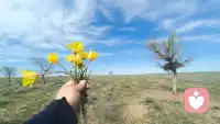 曾以为世界上最糟糕的事，
就是孤独终老，
其实不是，
最糟糕的是，
与那些让你感到孤独的人一起终老配图