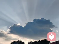 真正坚韧的心
不是从来没有烦恼
而是能够在烦恼中
调整自己