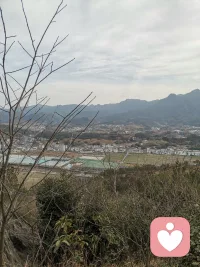 什么是生活，三毛曾说，一辈子都在省着，攒着，不论多抠，钱还是没存够。一辈子都在忍着，让着，怕着，不论多小心，人还是得罪的不少。一辈子都在读着，写着，悟着，不论多聪明，亏还是没少吃。一辈子都在觉醒中，成熟中，成长中，不论多淡定，遗憾还是有。
回头看，除了苍老的容颜，渐长的年龄，满腹的心酸，还有什么真正属于自己?所以想开了，什么才是生活，只有自己高兴了，那才是生活！