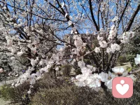 美国心理学会（APA）研究发现，当我们跟爱人牵手、拥抱时，彼此的皮肤接触会刺激大脑分泌“催产素”，这种激素能够降低皮质醇，也就是压力激素的水平。
每天20秒的拥抱，能让催产素提升30%，情绪焦虑下降20%，每天牵手20分钟，能同步两人的心率，则会降低压力荷尔蒙。
研究表明，催产素不仅增强人与人之间的情感联系，还能增加伴侣之间的忠诚度和信任度。也就是说，牵手、拥抱这类身体碰触，能够给人带来放松感和幸福感，而经常保持这种亲密行为的夫妻，婚姻关系的质量也更高。