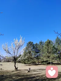 知识分享，16种动机需求
求知，认可，权利，地位，保留，有序，社交，荣誉，公正，自由，还击，安宁，食欲，运动，亲情，审美。