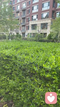成年人抑郁，常常表现为悲伤、不爱动。
但青少年抑郁，往往表现为易怒，而非悲伤。 
临床数据显示，易怒（易激惹）在青少年抑郁患者中发生率高达 60%-70%，常为突出症状。 他们并非持续情绪低落、哭泣，而是频繁发火、摔东西、与父母激烈对抗。 看似是“叛逆”，其实是孩子在用愤怒的情绪来表达内心无法言说的痛苦。 
此外，青少年抑郁还常表现为躯体化症状，而非直接情绪表达。 孩子很少会直接说出“我很难过”，他们更常说“头疼”“肚子疼”……不少孩子因此被带到医院做各种检查，却查不出身体上的器质性问题。 
而把抑郁被误解成“叛逆”，很可能会让孩子错过最佳的治疗时机。配图