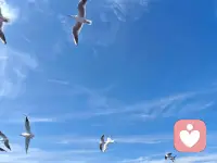 春天是人间的布洛芬，可以治愈所有的疲惫😊