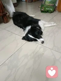 平凡日子也藏着美好，不必羡慕他人生活。专注自身成长，善待身边点滴小事。少纠结过往，少忧虑未来，用心感受日常烟火。保持乐观纯粹，坦然面对世事纷扰，安稳度日，便是最好的人生光景。配图
