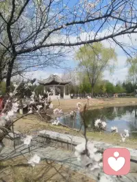 . 生.活本就是一边失去一边拥有，一边迷茫一边前行，别为难自己，该来的都在路上，慢慢来，一切都刚好。处处是风景。