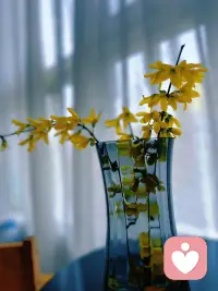 你不需要改变自己，你只需要认识自己。配图