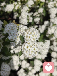 “难走的路都是上坡路，爬到山顶回头看时，你会真心觉得:值。”撑住了，你就配得上苦尽甘来的一切