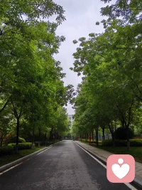 相处时无需可以迎合或伪装，可以自然的做自己，以真心相待，信任可靠，成为可以依靠的伙伴。