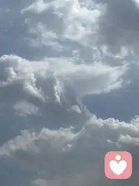 淫欲是生死轮回的根，不断淫欲，永堕六道轮回，不得解脱；

邪淫损阴德、折禄位、断子嗣、祸延子孙；
纵欲漏精、损德折寿，现世折福、来世受苦。

贪一时之乐，放纵心魔乱摆，造下恶业，现世损福、来世堕苦，是自作自受，苦海无涯，回头是岸。配图