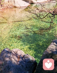 好的感情从来不是轰轰烈烈，而是把平凡日子慢慢过暖。新鲜感不靠新鲜感换人，只靠用心经营彼此。不用刻意制造浪漫，日常里的小事，就足够留住爱意。
 
忙的时候互相体谅，闲的时候好好说话，不冷战、不翻旧账，遇事一起扛。愿意倾听对方的情绪，懂得低头，学会包容，不把坏脾气留给最亲近的人。
 
再多情话，不如踏实陪伴；再多承诺，不如事事有回应。记得多表达在意，多给彼此安全感，多留一点温柔和耐心。感情久了难免平淡，但用心经营，平淡里也能开出温柔的花。
 
两个人双向奔赴，彼此珍惜，互相迁就，好好过日子，就是最好的爱情保鲜方式。