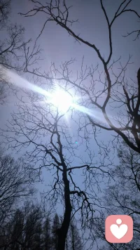 成年人的世界，总藏着说不出口的疲惫与委屈。
不用硬撑、不必假装坚强，愿意好好倾听你的情绪，接纳所有不开心，慢下来，和自己温柔和解🌿