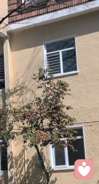 成年人的世界，总藏着说不出口的疲惫与委屈。
不用硬撑、不必假装坚强，愿意好好倾听你的情绪，接纳所有不开心，慢下来，和自己温柔和解🌿