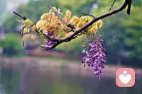 要想快乐，就不要想太多

凡事看得太透，人间便无趣了，该来的会来，该走的会走，太注重细节的人注定不快乐。林徽因曾说：“太感性过不了柴米油盐，太理性过不了风花雪月。”
 
实际上，生活很简单，追求所爱，珍惜所得，遗忘所失，一切顺其自然，不强求，不纠结。想多了都是问题，想开了都是答案。
 
以后的日子，愿我们都能，手执烟火为生，怀揣着诗意去爱，以自己喜欢的方式度过余生。顺其自然，随遇而安…