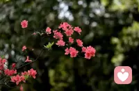 来自一个来访者的倾诉：
他的对象背着他，和别的男人聊暧昧，然后第一次被他发现了，他对象撒了谎，说是小鲜肉她的好闺蜜，没别的，所以他选择相信了。
但是后来第二次又发现是骗他的，他对象还偷偷的专门申请一个微信单独聊的，还不是什么小鲜肉，是她的同事，比他年龄还大。然后她删除聊天记录，又是不承认的，还跟他大吵大闹的，很不情愿的删除了微信和联系方式。
但是过了一段时间后，他又发现他对象把那个男闺蜜又换了个微信备注，还有了聊天暗号，他发现后，她还是不承认，说没有出轨啥的，还说了，如果出轨的话，这些都不会让他看到的！关键是他对象每次对待这样的问题，都是关机拉黑冷战啥的，逼着他先道歉。后来他忍无可忍的跟她单位一说，单位调查后把他对象的那个男闺蜜开了。然后他的对象就一直怀恨在心了！一直都是不冷不热的爱搭不理的态度，好几年也都不让他碰她了。。
他说他们已经有了两个孩子了，离了怕孩子受影响，怎么办？