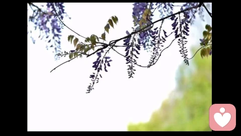 一个来访倾诉者的问题