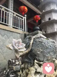 一来电话就立即匆忙慌张去接的人
太可怜！  可怜的是  ：
自己的生命在通过这个电话
被所有人牵在手里！配图