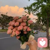 太阳温暖早起的人，月亮陪伴熬夜的人
日复一日的生活也会有新的快乐
不要因为别人一句话，丢掉一整天的快乐[玫瑰]
慢也好 步子小也好 往前走就好
永远不要提前焦虑  生活无非就是见招拆招
总会有一些温暖的人.给你带来最温柔的温柔.