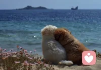 零碎的世界里，你就是我的全部。