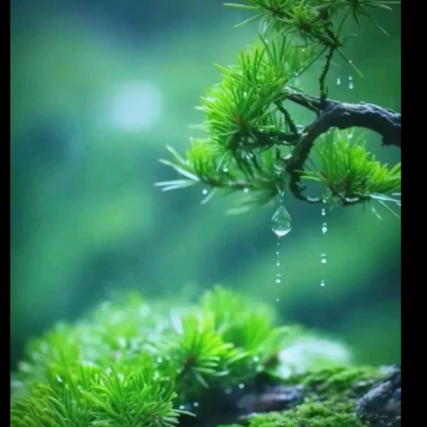 心的倾听师—任婕