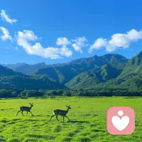 爱配图