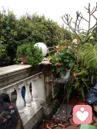 你努力生活的样子虽然很别人看起来你很苦，但只有你自己知道苦过这阵子未来都是美好。