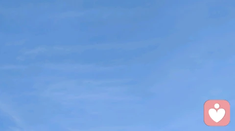 人生已经很难了，不要抱怨