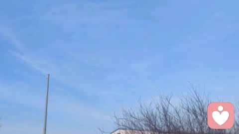 对于伴侣的选择