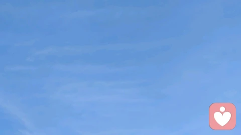 不建议早结婚的原因