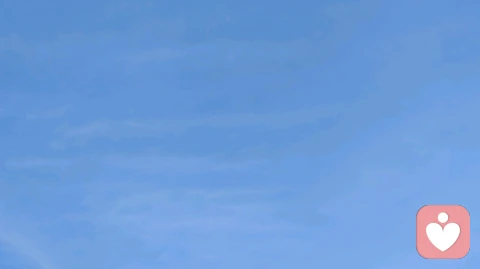 爱而不得最遗憾