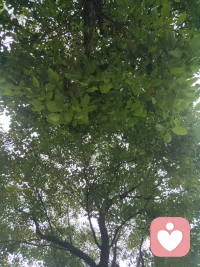 九点