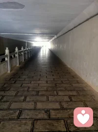 九点