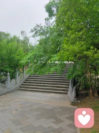 九点