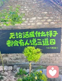 无论活成什么样，都会有人说三道四。配图