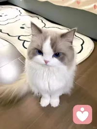 号已经被
f，江湖再见