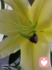 一花藏两面，一心含百态。
接纳内心的热烈与平和，慢慢与自己温柔相拥。
#心灵疗愈配图
