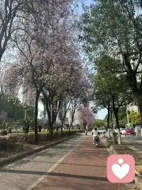 新人倾听者，有方法多增加单量吗