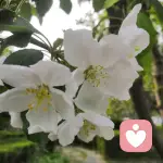 雨中匠人🍮的头像