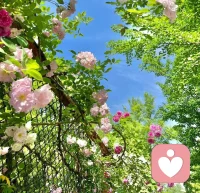 大千世界，无奇不有，我愿意接纳一切！