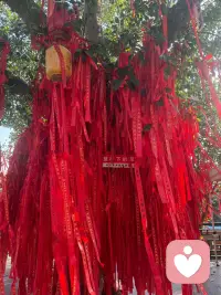 💛 我懂那种没人理解的孤单
也懂深夜里翻来覆去的难过
不用一个人硬扛
你可以把所有情绪都倒给我
我会耐心倾听、温柔回应
陪你慢慢梳理、慢慢释怀
在这里，你永远值得被好好对待配图